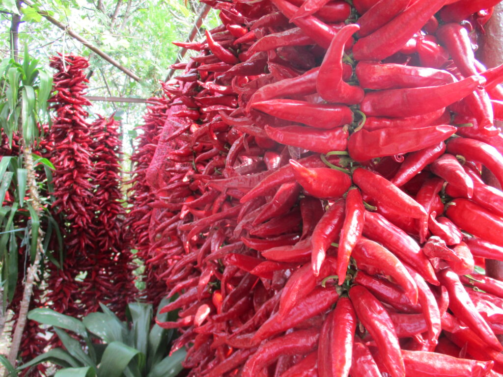 paprika