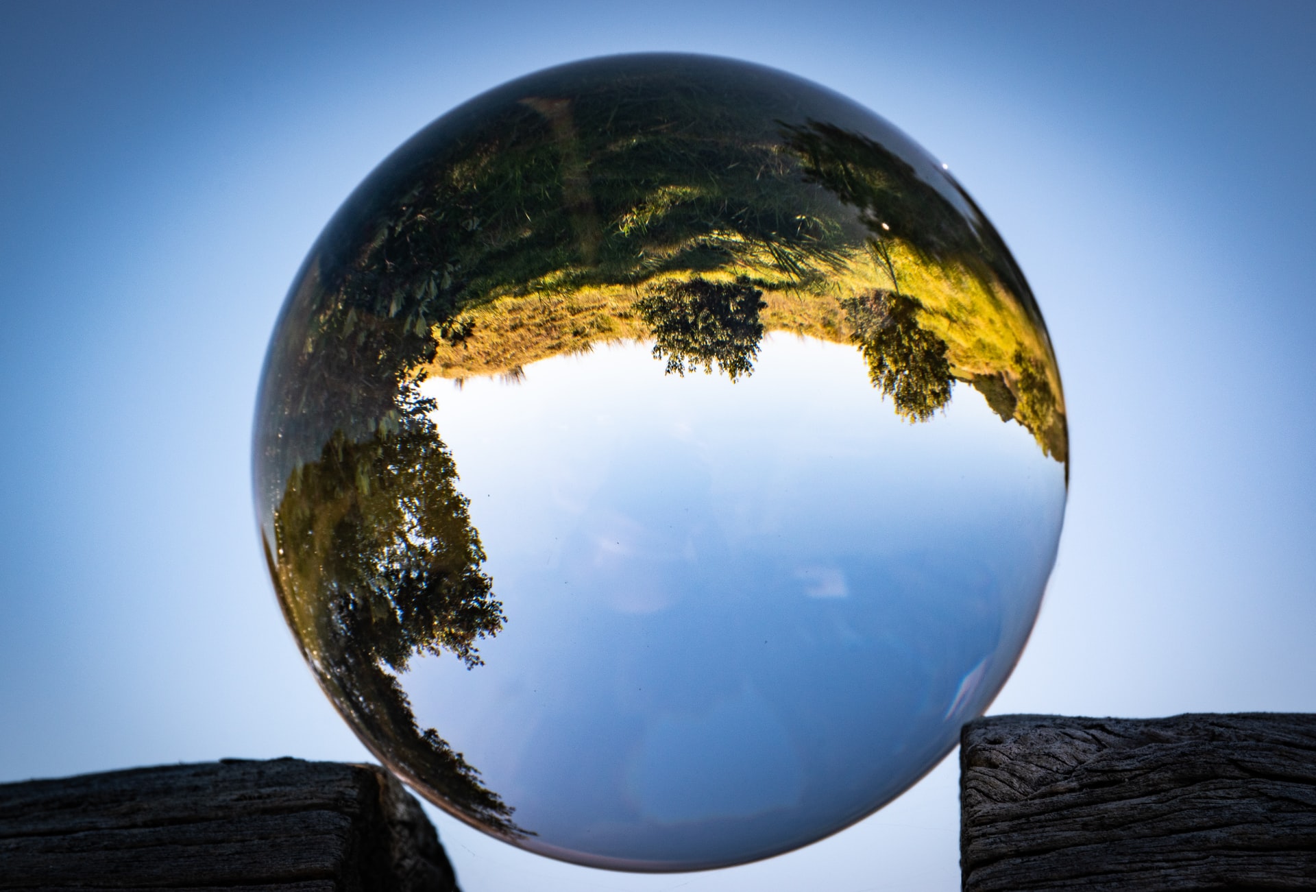 greg-lois-nunes-h-nE8fy-vMQ-unsplash