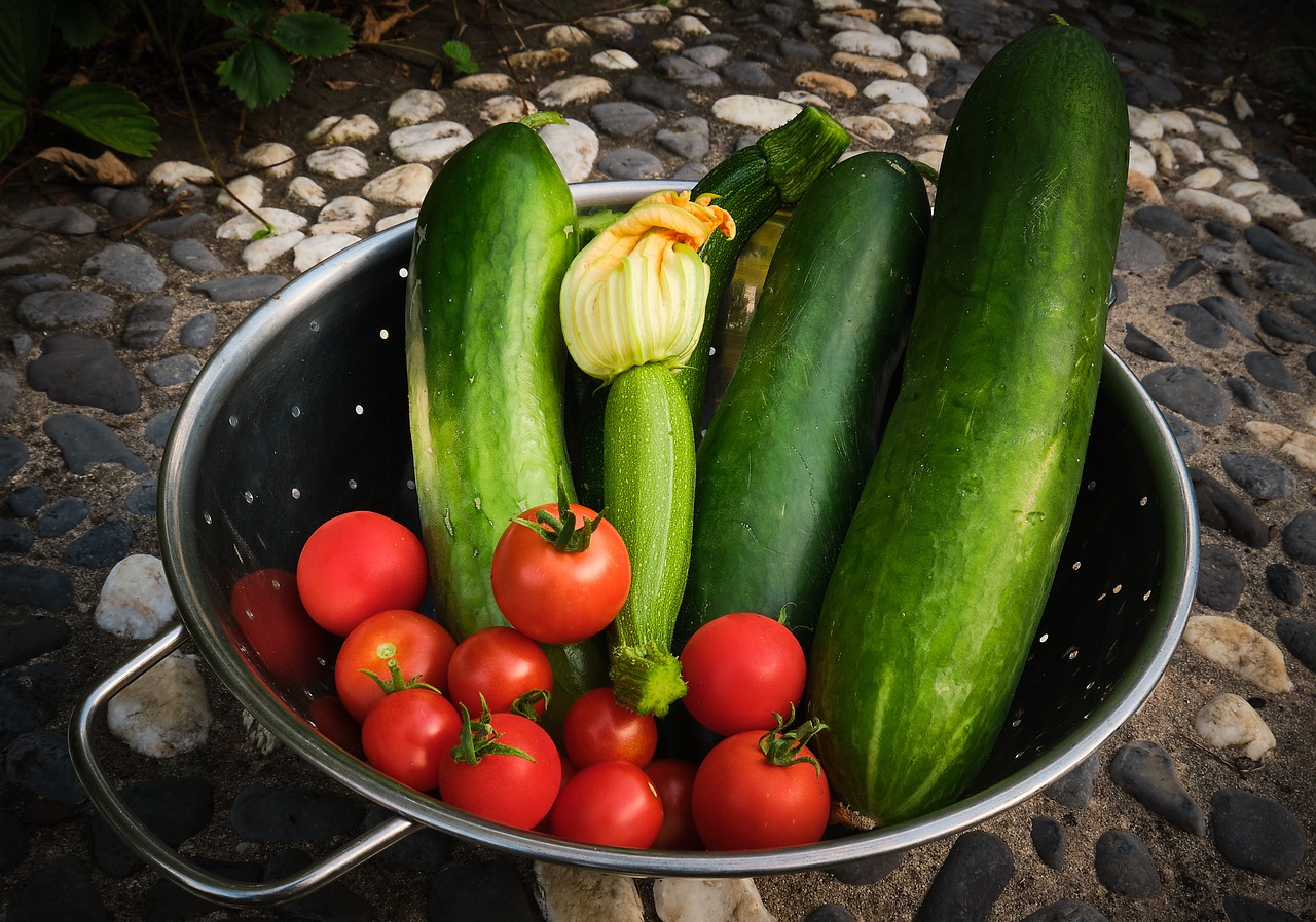 harvest-4387589_1280