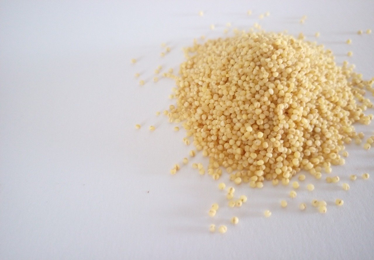 millet-3879976_1280-1