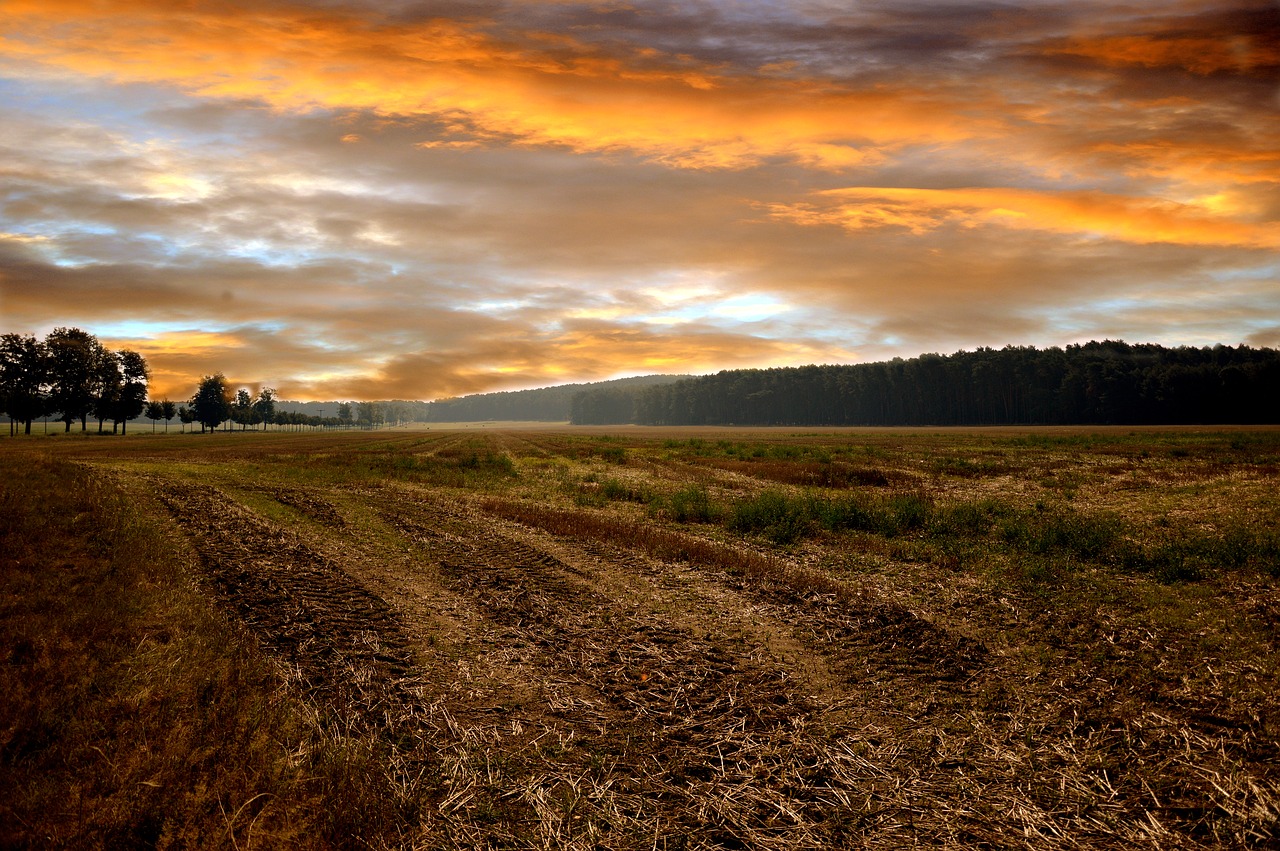 landscape-3616767_1280