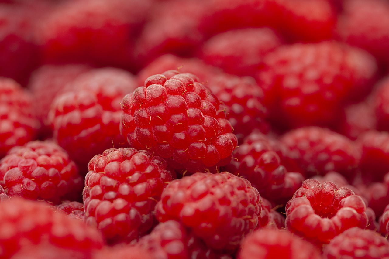 raspberry-5407356_1280