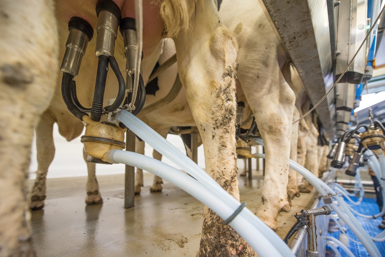 milk-g86a792c62_1280