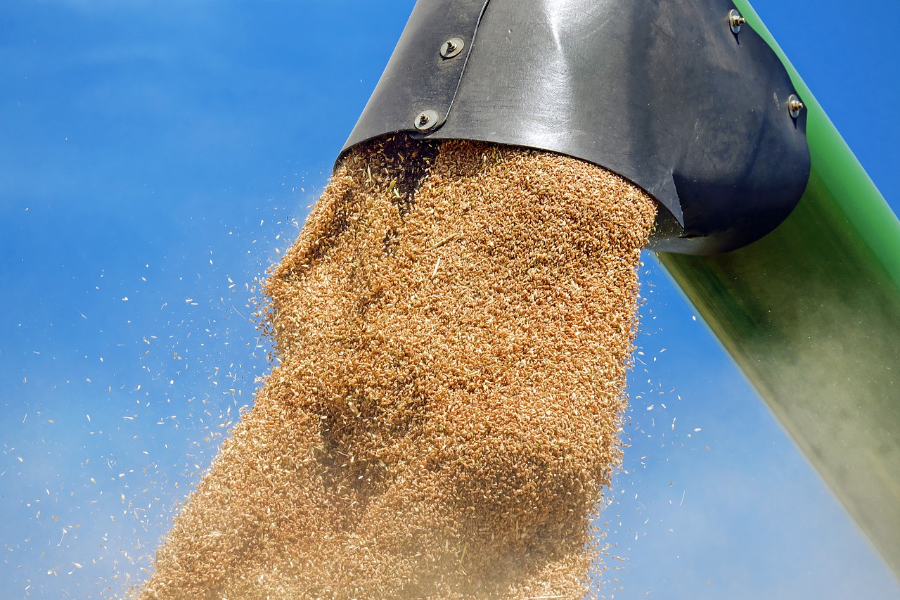 wheat-g92a44c4cd_1280