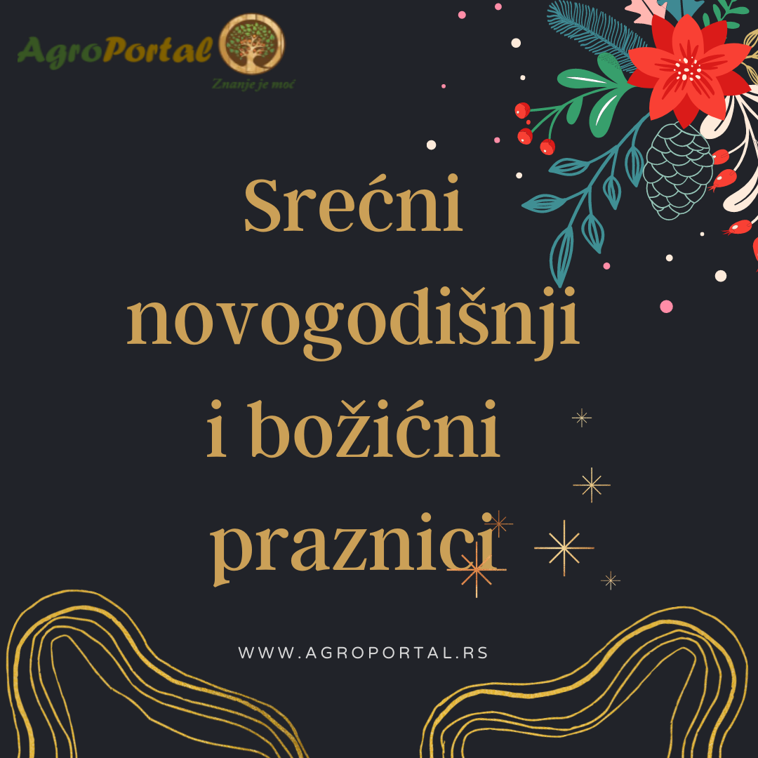 Novogodišnja čestitka 2023